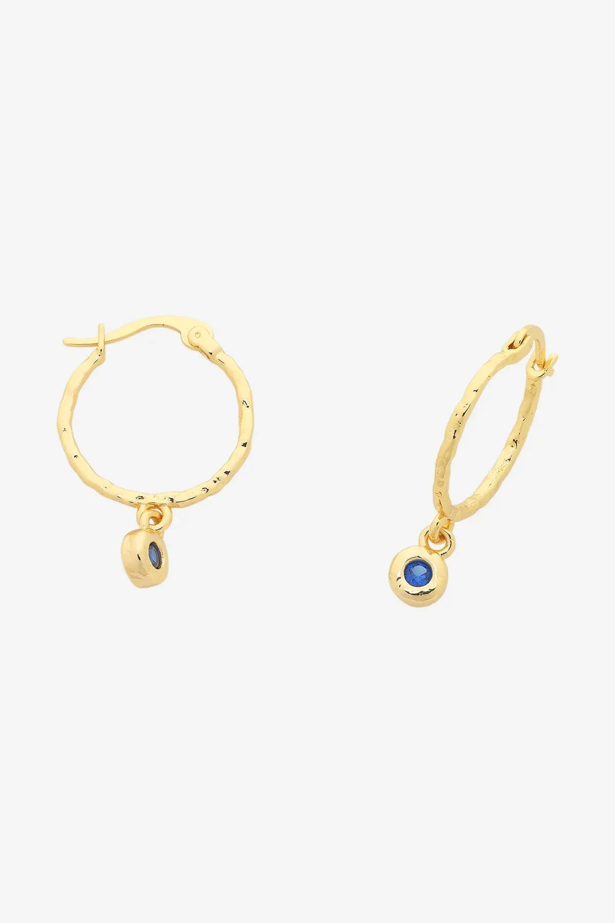Betsy Gold Earring