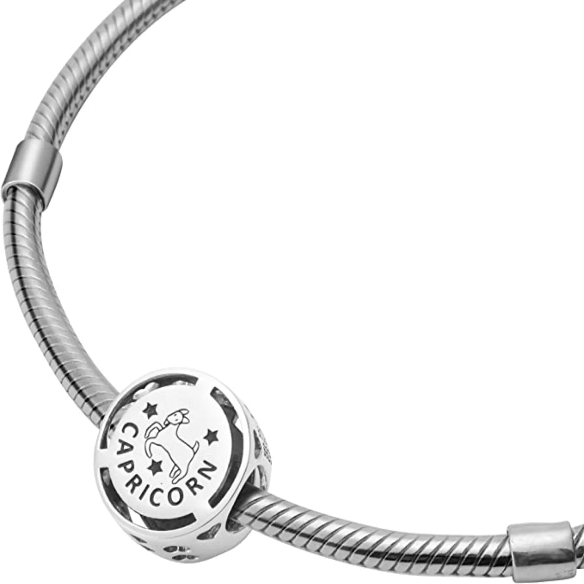 Capricorn Zodiac Sign Bead Charm