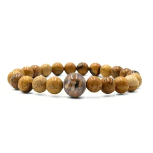 Illinois Stones   Picture Jasper