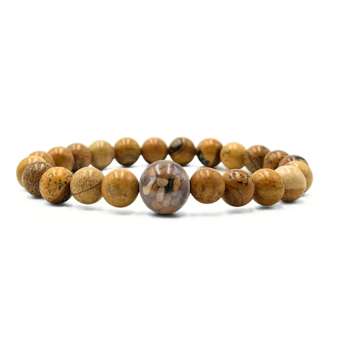 Illinois Stones   Picture Jasper