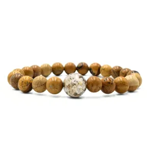 Lake Erie Stones & Shells   Picture Jasper