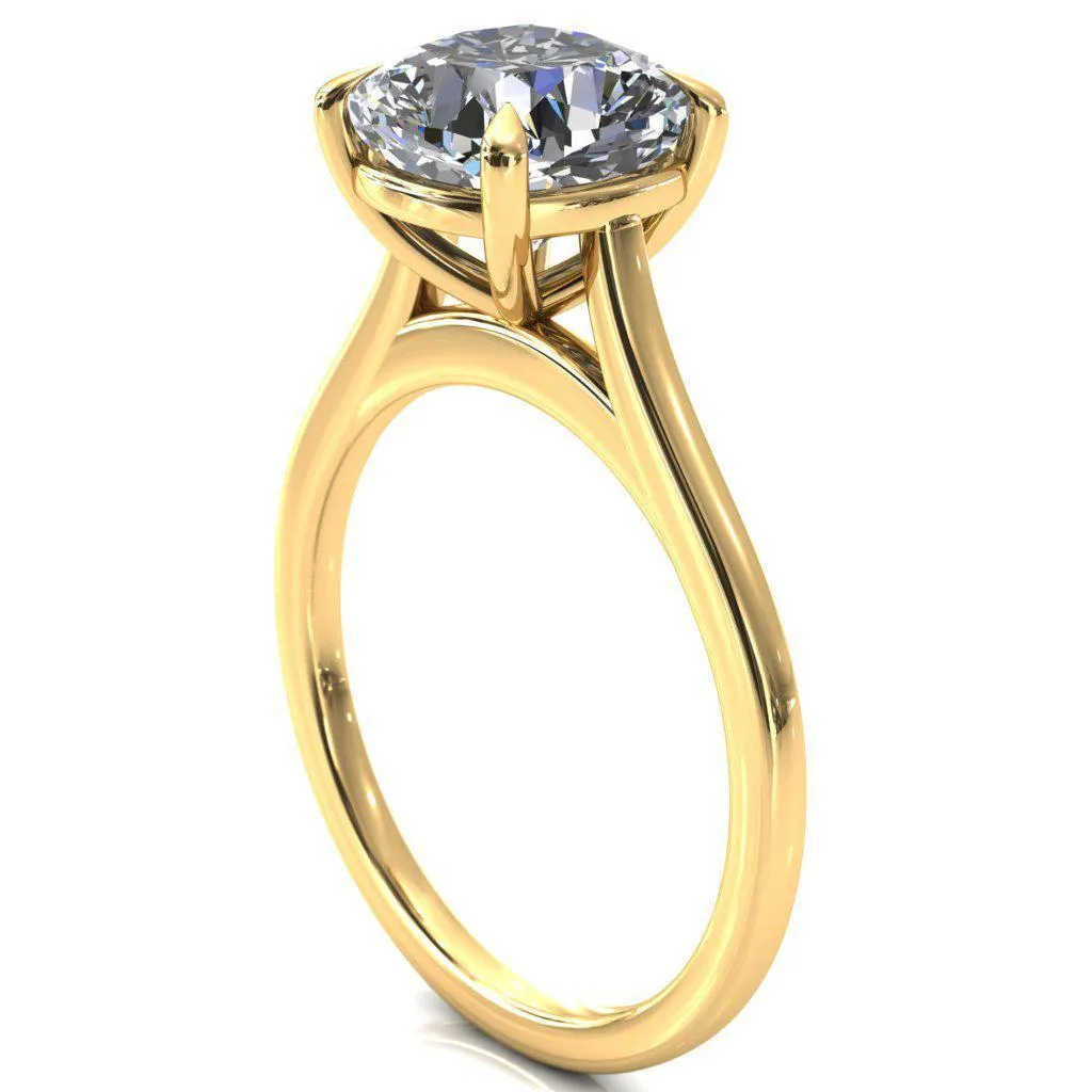 Lizzy Cushion Center Stone 4 Claw Prong Cathedral Engagement Ring