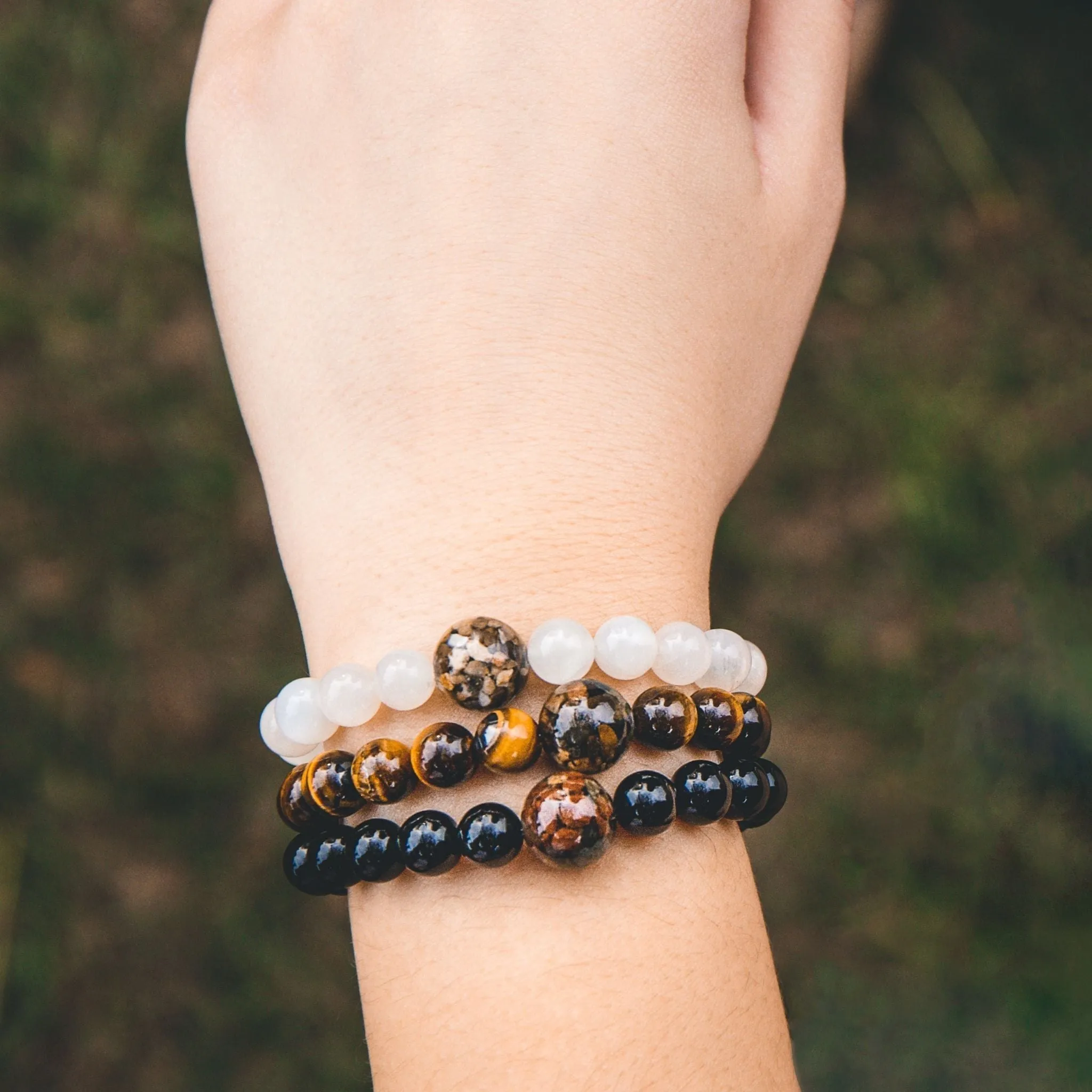 Maryland Stones & Shells   Black Agate