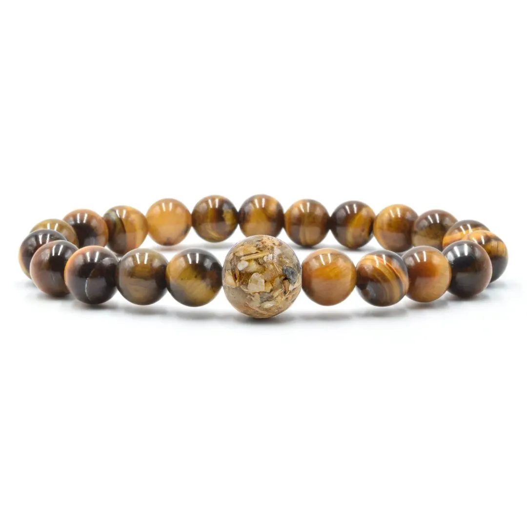 Maryland Stones & Shells   Tiger's Eye