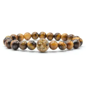 Maryland Stones & Shells   Tiger's Eye