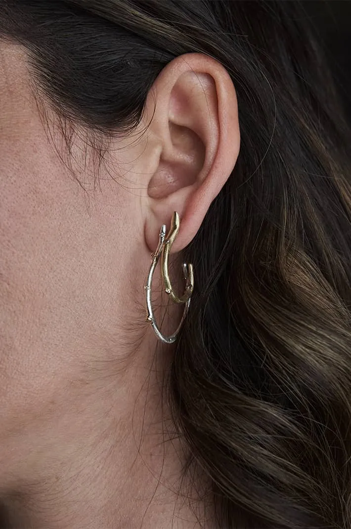 Medium Sedimentary Hoops