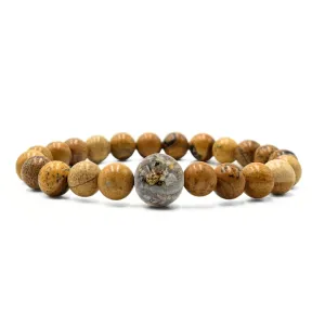 New Hampshire Stones   Picture Jasper