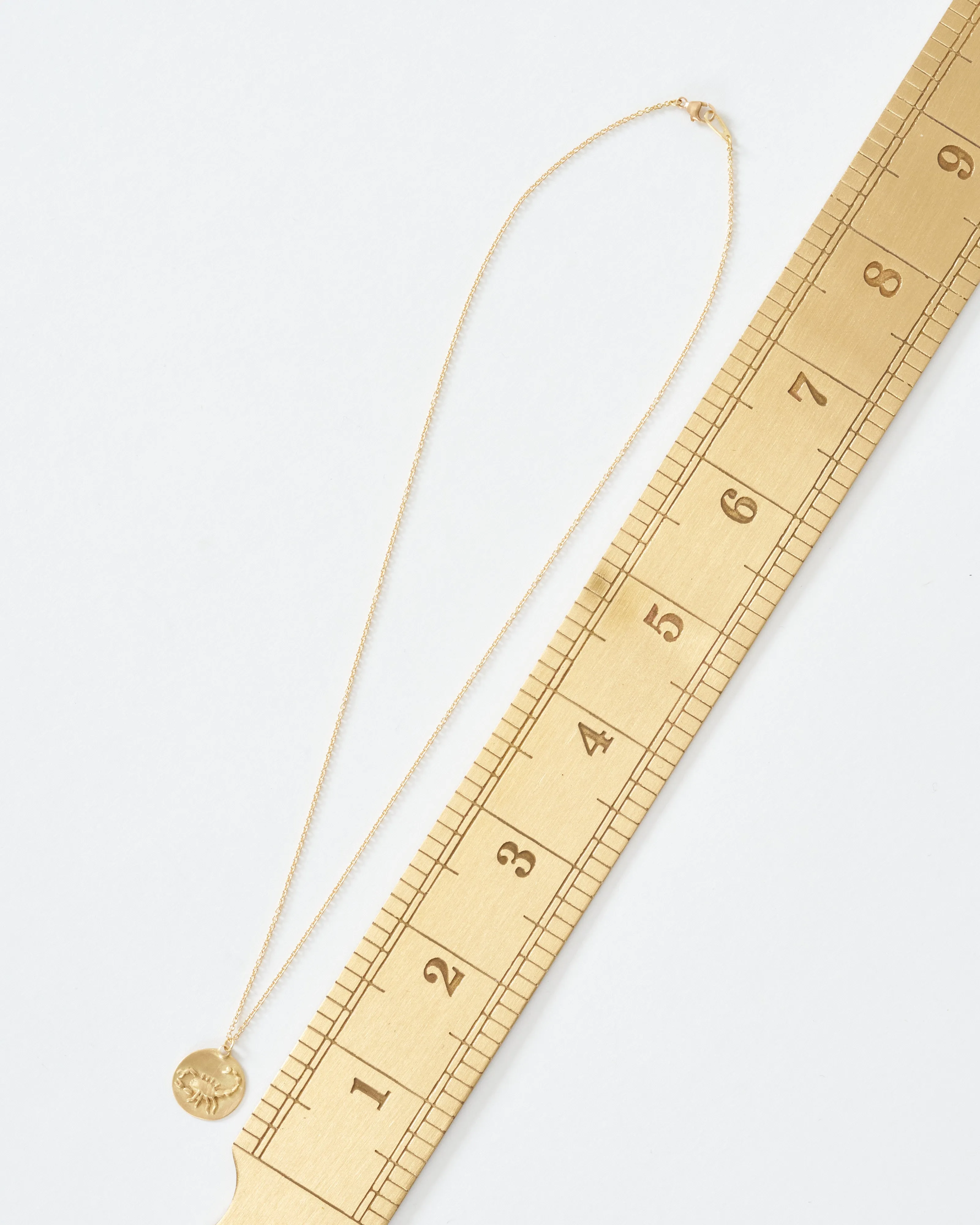scorpio disc necklace