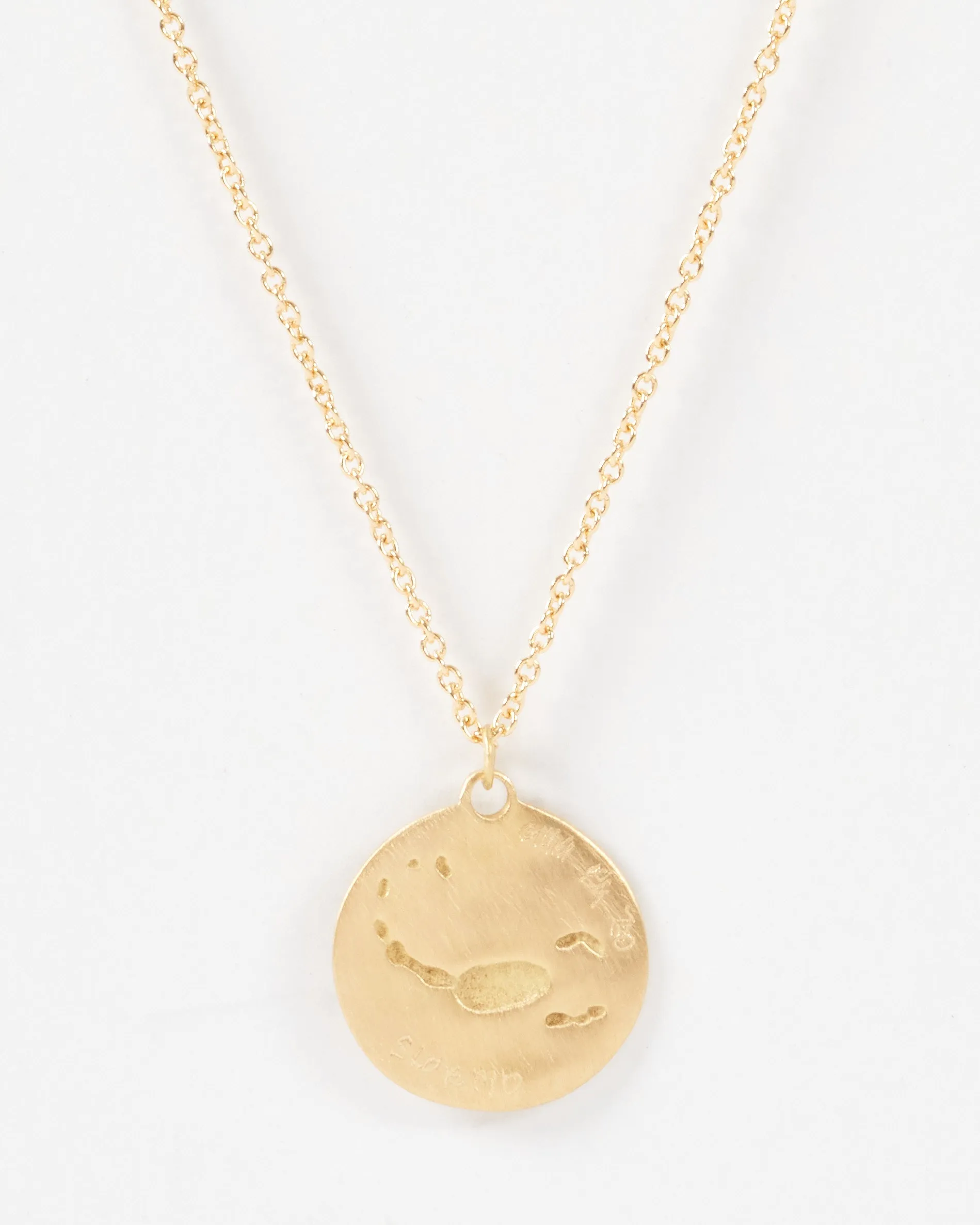 scorpio disc necklace