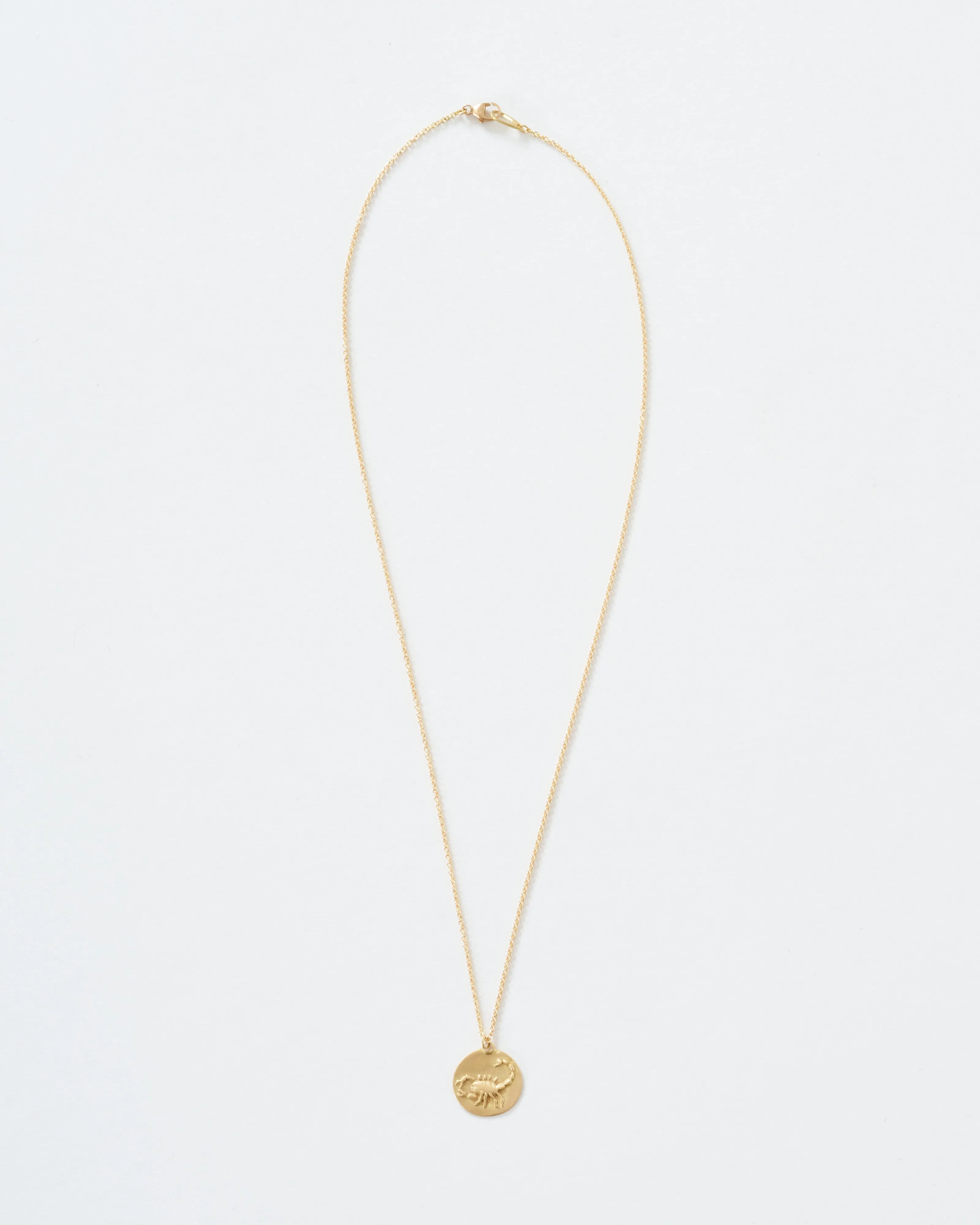 scorpio disc necklace