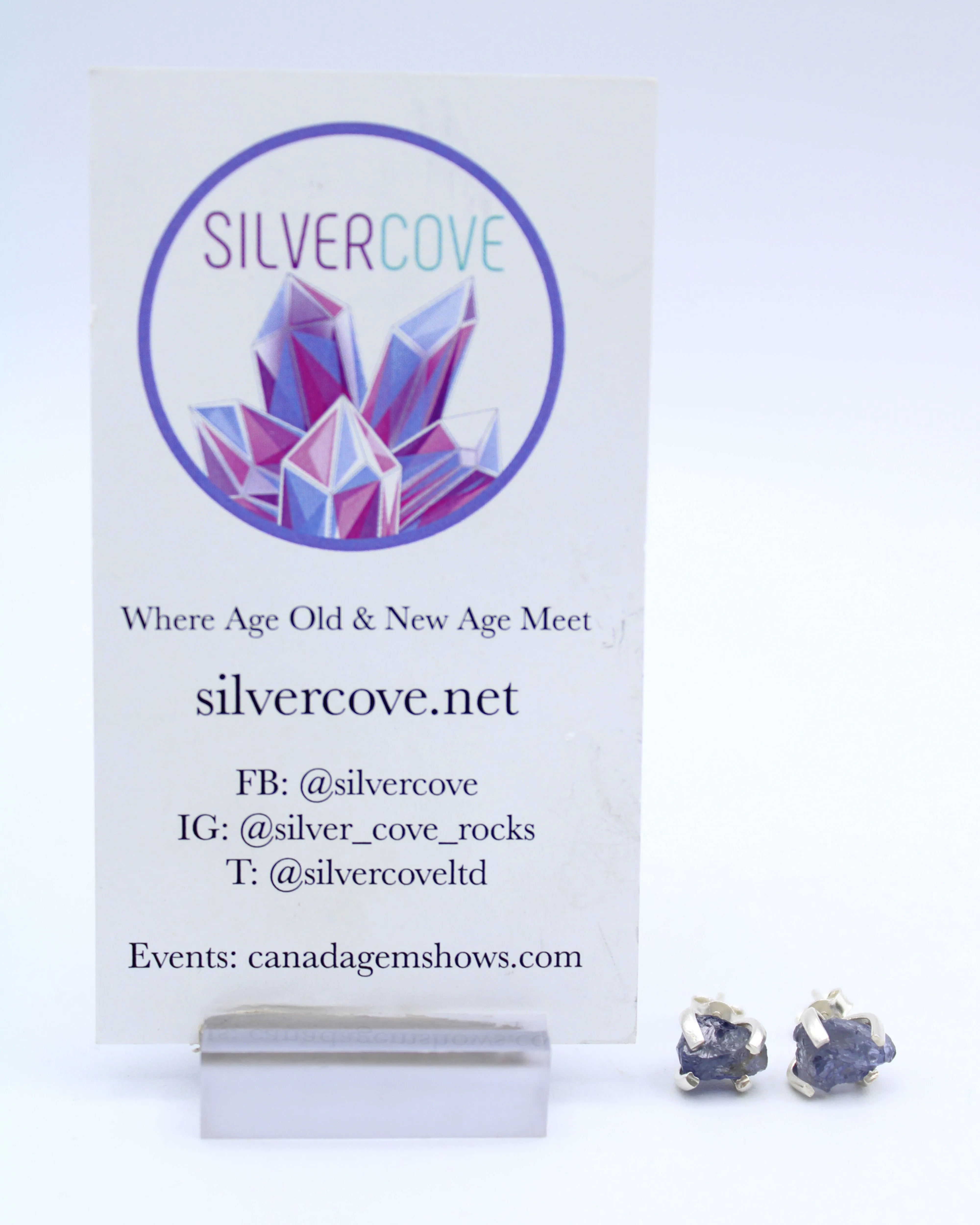 Tanzanite Crystal Earrings SS