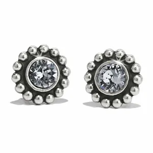 Twinkle Mini Post Earrings Media