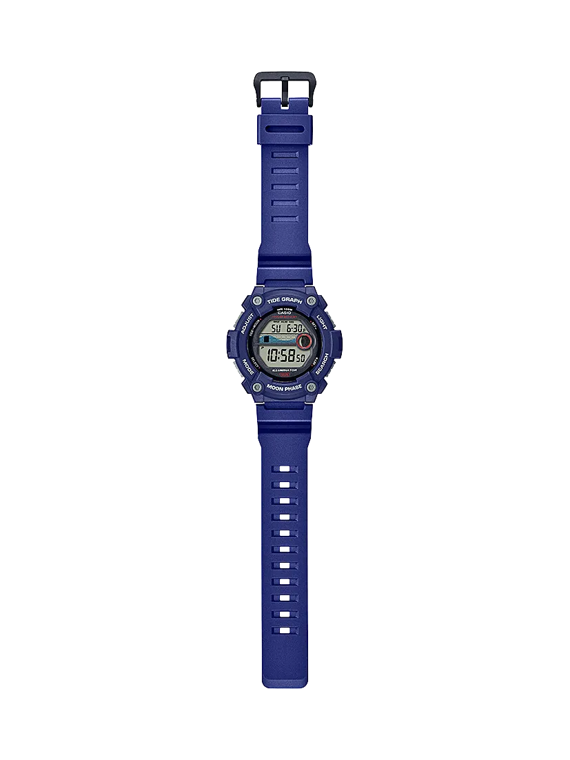 WS1300H-2A