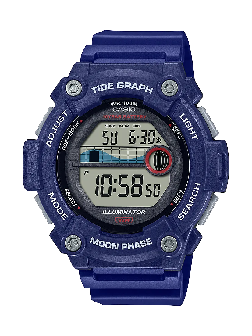 WS1300H-2A
